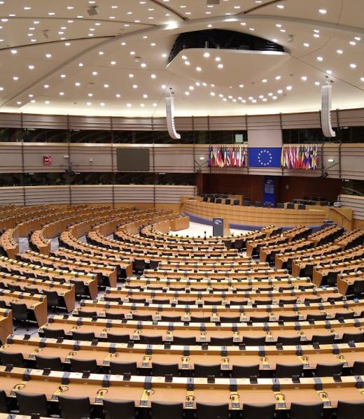 Parlamentul european Parlamentul european
